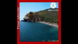 Dog island
