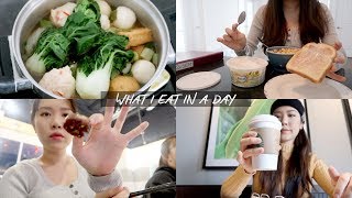 What I eat in a day III