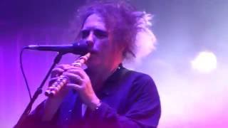 THE CURE @MADISON SQUARE GARDEN NYC 19/jun/2016 &quot;THE SNAKEPIT&quot;