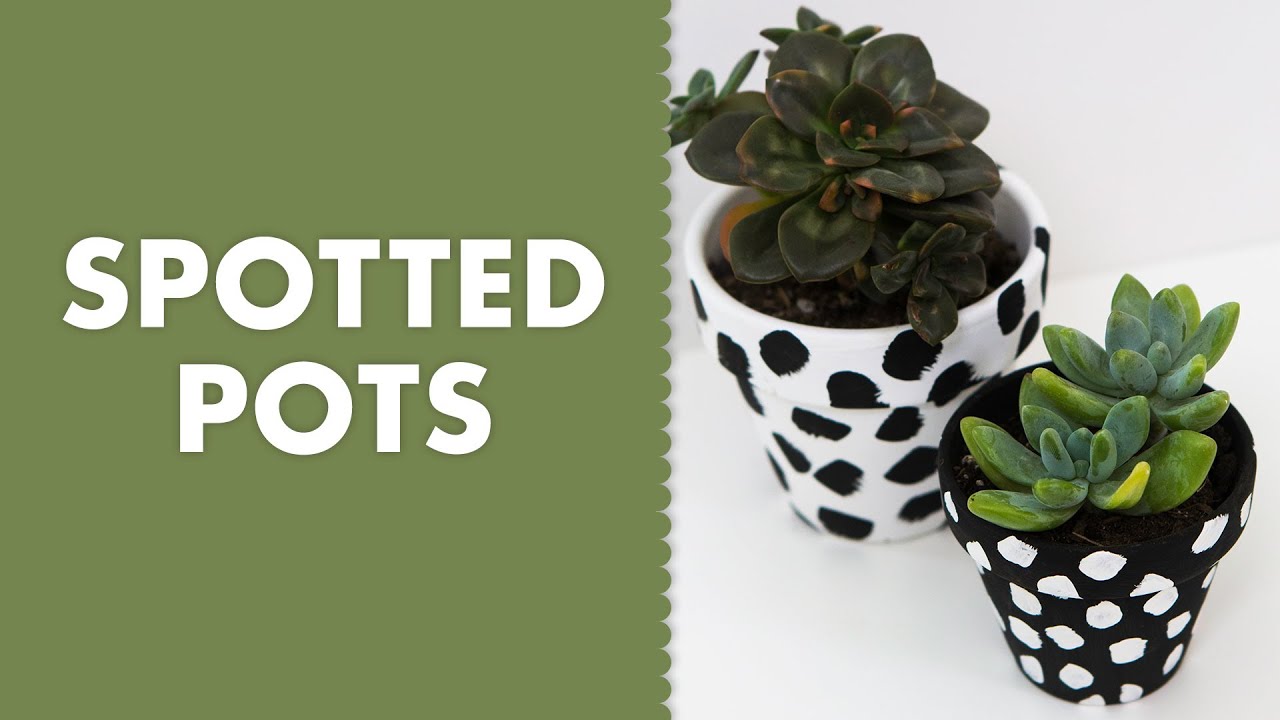Painted Spotted Dot Terra Cotta Clay Pots - YouTube