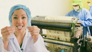 How Rice Noodles Are Made in Thailand - Mini Documentary