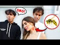 My Girlfriend Got STUNG By a Giant BEE! *Painful*