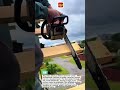 Precision Timber Cutting – Professional Chainsaw Woodworking Technique