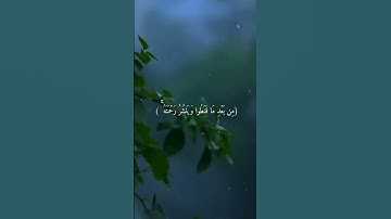 (وهو الذي يُنزل الغيث) القارئ الشيخ بندر بليلة #بندر_بليلة