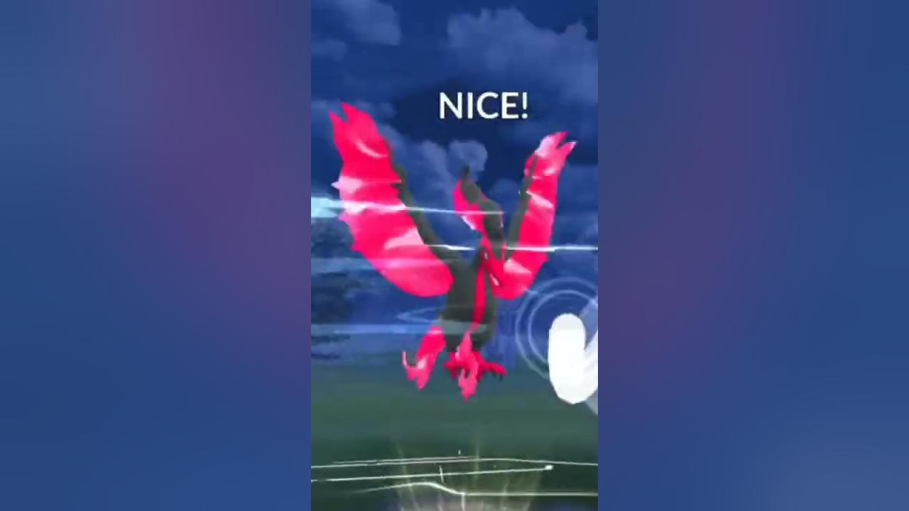 Pokemon Go - Combo 3 Mini Moltres, Zapdos, Articuno Galarian