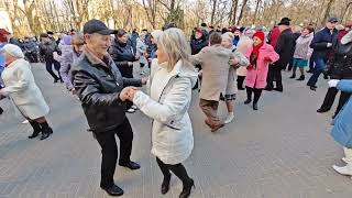 8.03.24г..."Белым цветом Сирень"... Бритоусов Сергей... звучит в Гомельском парке...