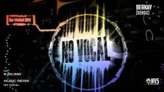 Berkay Sensiz Fon Müzik Remix No Vocal