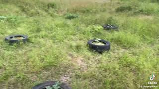 10-20-10 & Epsom Salt before 🌧️ #cheydengarden #watermelonwarz #arkansas