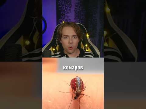 Кого больше кусают комары? 🦟