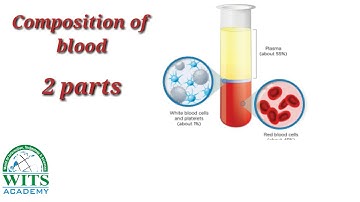 Class Four Science Unit 2 Our Circulatory System Video 1 Week 5 | Online Class