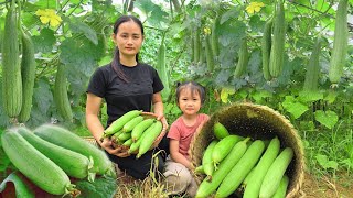 The life of a 17-year-old single mother - harvesting luffa to sell, making vegetable trellises