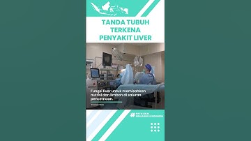 Kenali Tanda Tubuh Terkena Penyakit Liver yang Kerap Diabaikan: Demam hingga Kulit Tampak Kekuningan