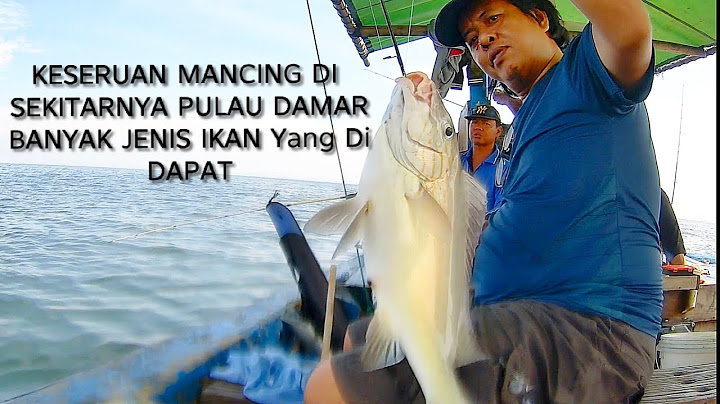 Keseruan Mancing di sekitaran Pulau Damar banyak jenis ikan yang di dapat