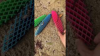 Magic Bouncy Nets Disappear After Rescue