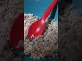 bikin makanan simpel