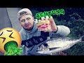 Surströmming Ekel Fisch | Das perfekte Dinner #3