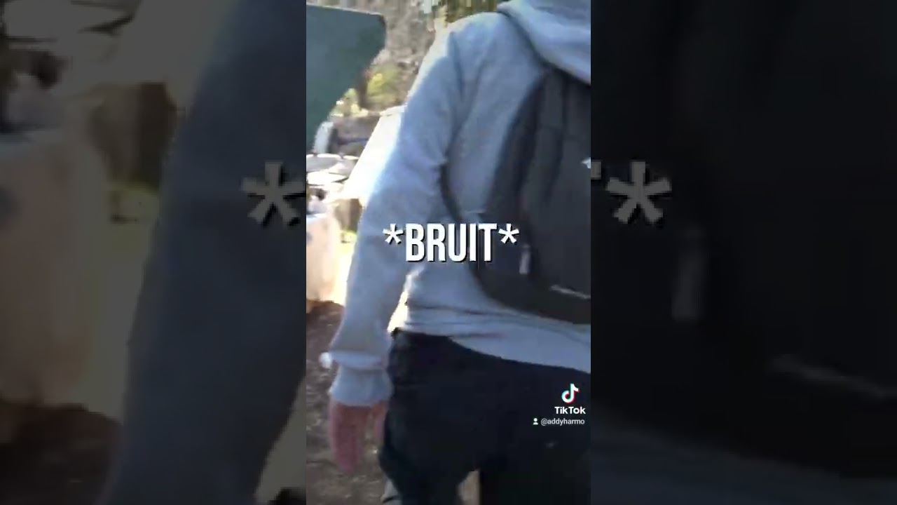 Horrible découverte dans ce lieu très étrange ! 😨 