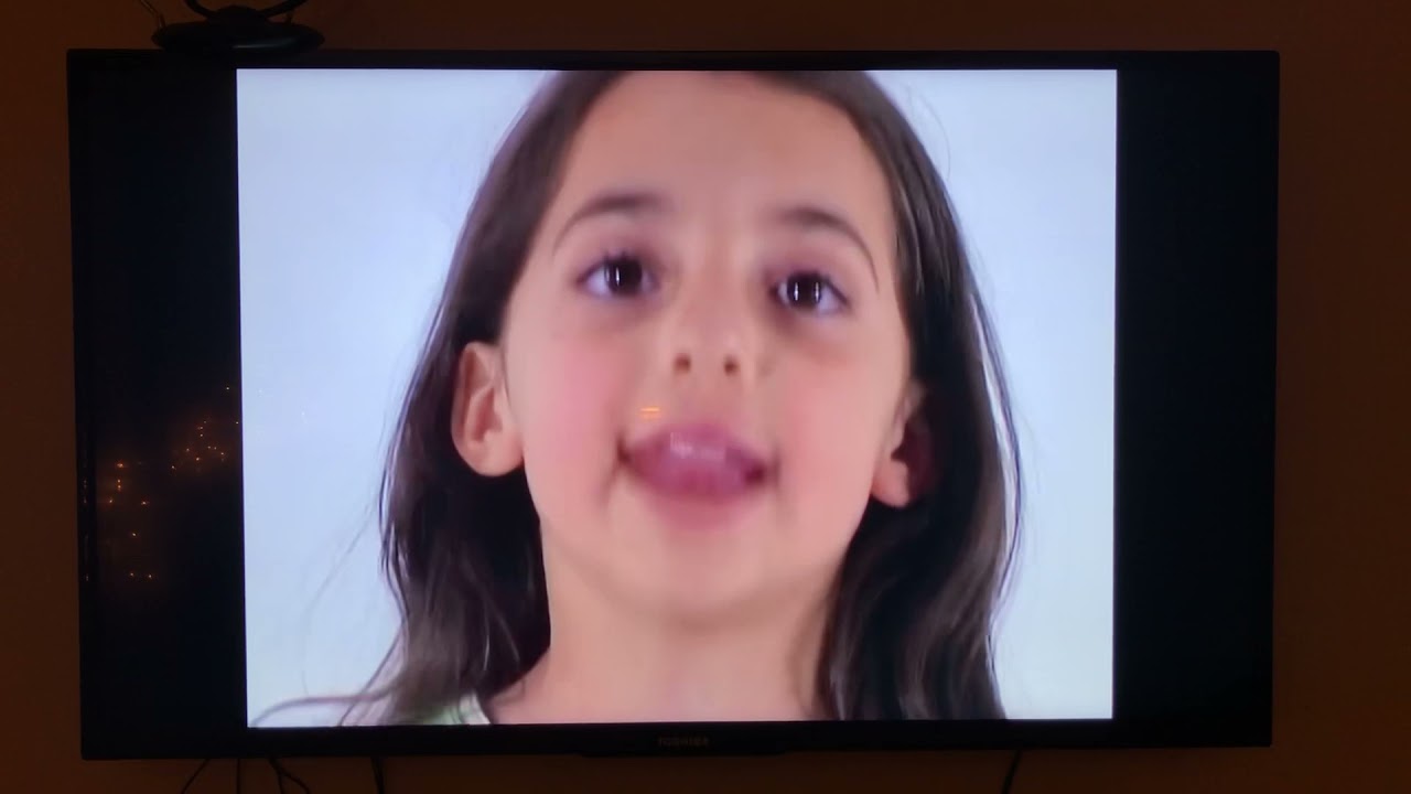 Baby Bumblebee/Bumblebee Kids & OnSpectrum, Inc.: Question Words DVD Part 2