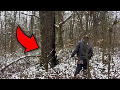 A Dot on a Map Led Us Here... Metal Detecting a Forgotten 1800's Homesite!