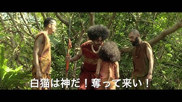 『猫侍 南の島へ行く』予告