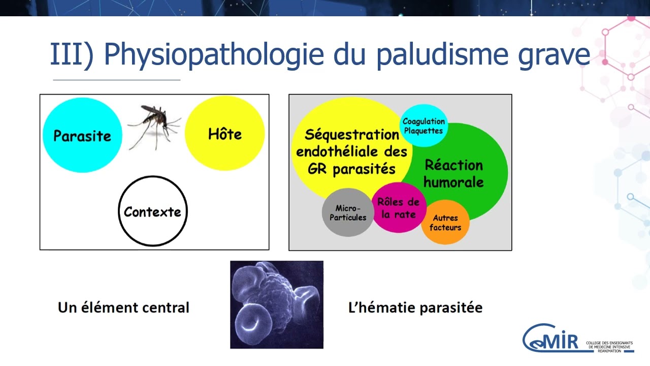 7 50 3 Paludisme - Généralités