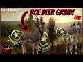 I'M BACK! Grinding for GREAT ONE ROE DEER #2!!! LIVE | TheHunter Call of the Wild