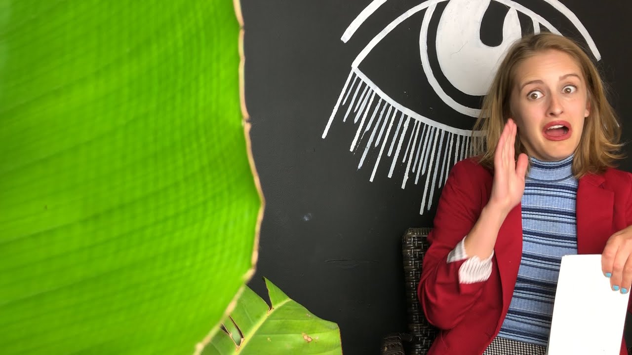 EXCLUSIVE BTS Interview with a Plant