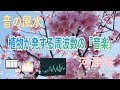 【才能開花・縁結び・金運財運UP・繁盛・細胞が喜ぶ440 Hz】濃いピンクの優雅さにうっとり『河津桜』による演奏「音の風水」♪（Part 46）