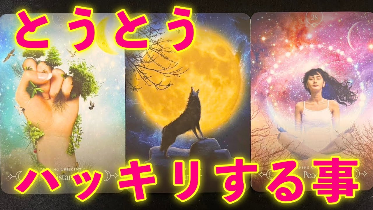 【衝撃⚠️😳】とうとうハッキリする事‼️驚きの真実🫢怖いほど当たる✨人生が変わるオラクルカードリーディング✨占い✨スピリチュアル✨ /Message for you /Oracle card