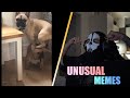 MOJI REAGIERT auf UNUSUAL MEMES COMPILATION V118