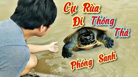 THẢ CỤ RÙA VỀ VỚI TỰ NHIÊN | DROP THE WASHING EQUIPMENT TO NATURAL | #phamcuongvlog