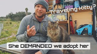 Would you adopt her? by Tiny House Ventures 587 views 1 year ago 9 minutes, 44 seconds