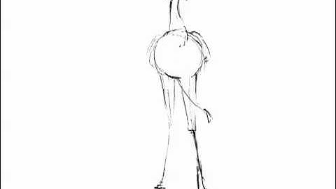 Weekly Walk 1 - Secretary Bird