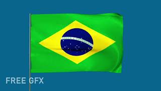 Brasil National Flag Blue Screen Video