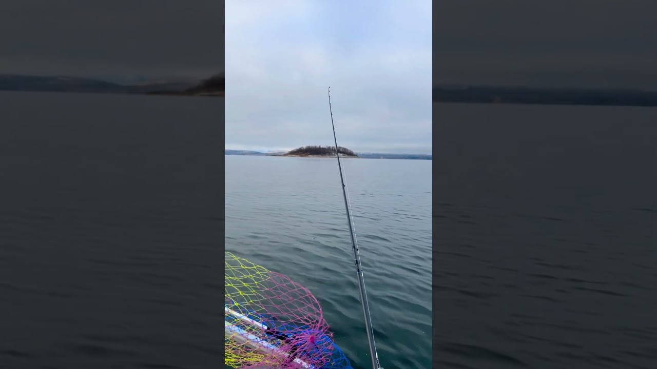 Остров Липовый оз.Аргази 