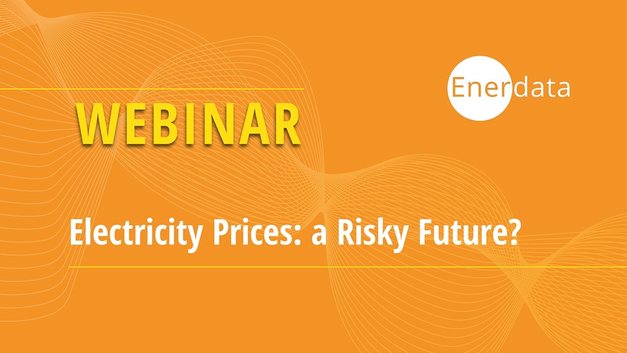 Webinar - Electricity Prices: A Risky Future? - Reconciling Producers from Solar and Consumers