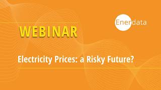 Webinar - Electricity Prices: A Risky Future? - Reconciling Producers from Solar and Consumers
