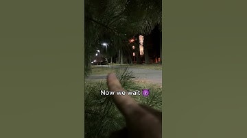 Thumbnail of Death Whistle PRANK...