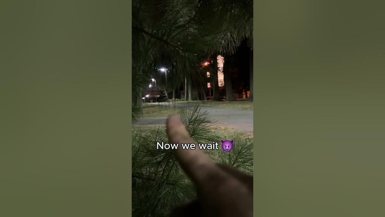 Death Whistle PRANK...