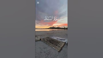 سورة البلد بصوت القارء بولعراف كمال عبد العزيز #quran #قران