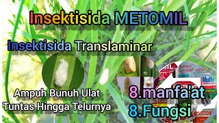 Insektisida METOMIL, Insektisida Translaminar Ampuh Bunuh Ulat Tuntas Hingga Telurnya.