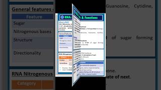 RNA: Different Types and Functions #studyclick #studyclickindia #Biology #biologystudents
