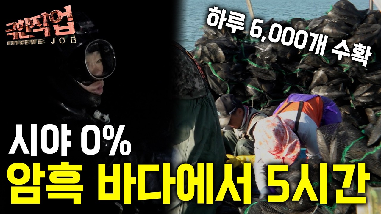 해외에서도 줄 서서 먹는 역대급 크기의 조개! 진흙 속에서 목숨 걸고 건져 올리는 머구리의 하루｜극한직업