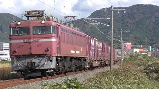 【JR貨物】5051レ カンガルーライナーNF64 EF81-406