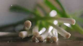 Légumes Suisses De Printemps Un Régal Sous Toutes Leurs Formes