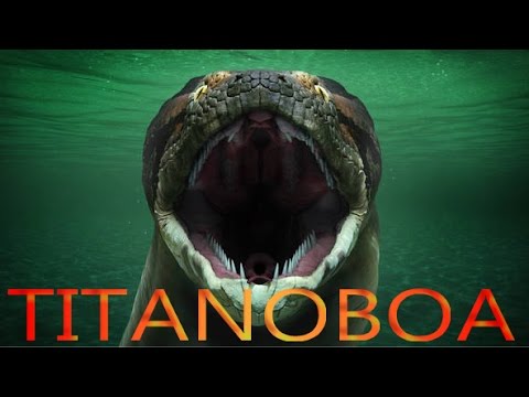 Titanoboa - największy wąż jaki żył na Ziemi