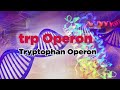 trp Operon | Tryptophan Operon