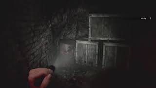 I had too start over  Resident Evil ReqUiem