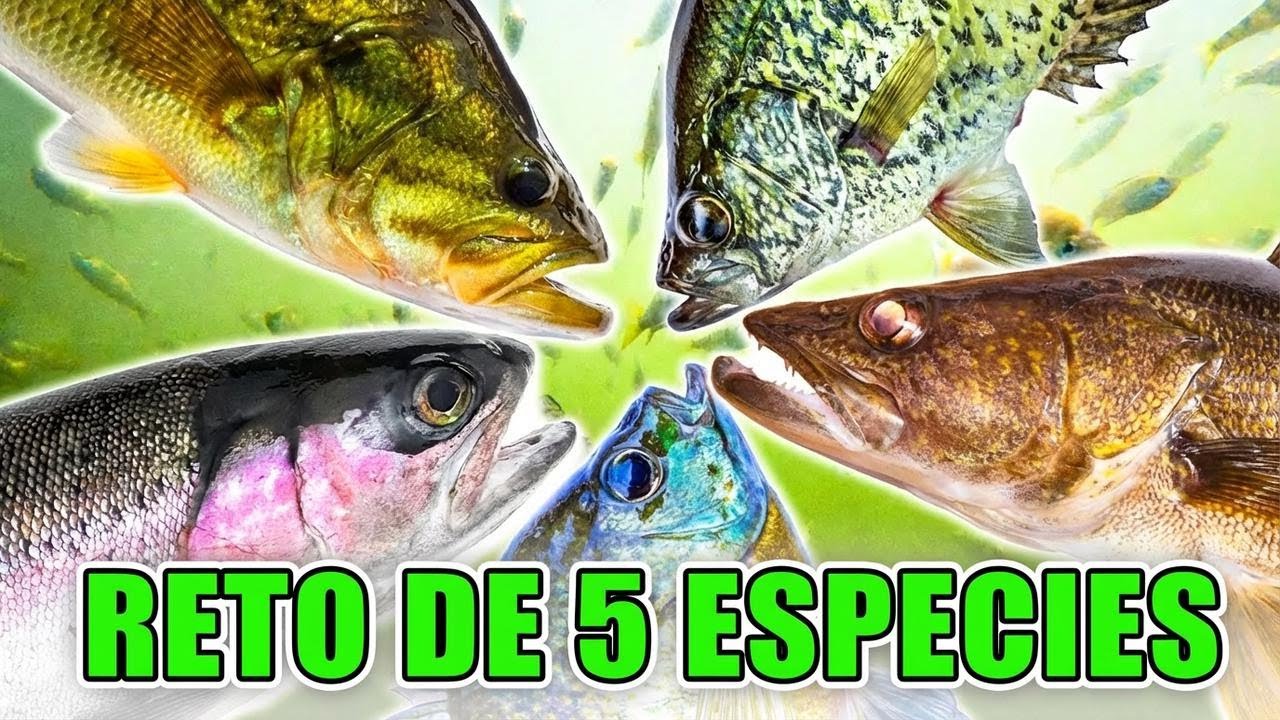 ¡Hoy vamos a pescar algo diferente! Viajamos 5 horas solo para pescar un día