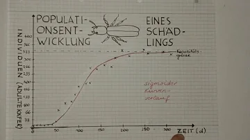 Wie beschreibt man einen Kurvenverlauf?